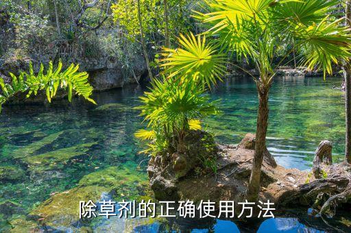  除草劑的正確使用方法