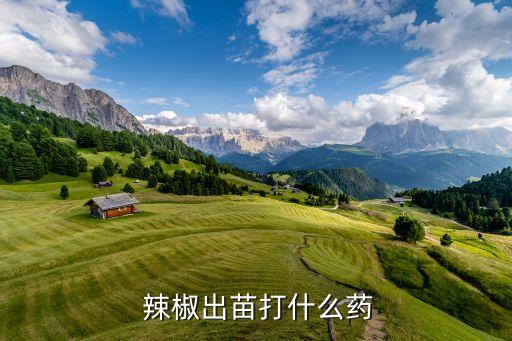  辣椒出苗打什么藥