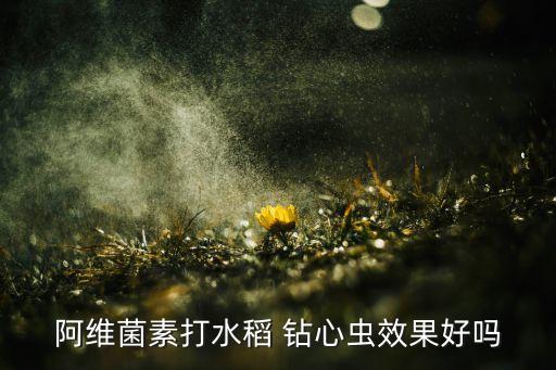 阿維菌素打水稻 鉆心蟲效果好嗎