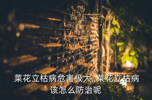 菜花種植用什么農藥,有機菜花什么時間種植