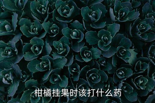  柑橘掛果時(shí)該打什么藥