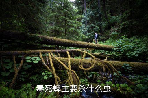 毒死蜱主要殺什么蟲