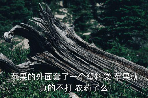  蘋果的外面套了一個塑料袋 蘋果就真的不打 農藥了么