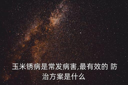  玉米銹病是常發病害,最有效的 防治方案是什么