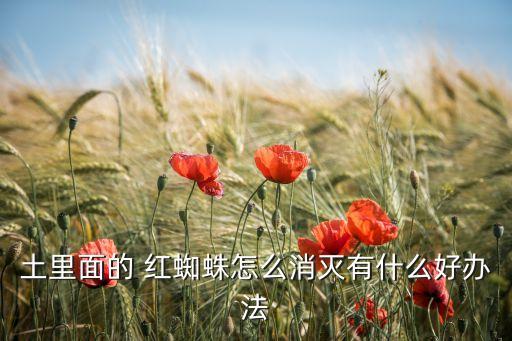 土里面的 紅蜘蛛怎么消滅有什么好辦法