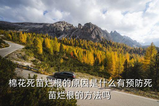 棉花地里長草打什么農藥