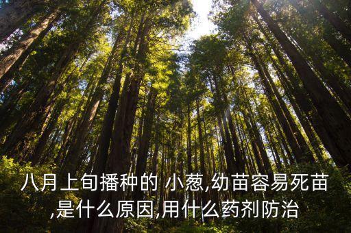 小蔥起白點(diǎn)打什么農(nóng)藥,小蔥有白點(diǎn)打什么藥