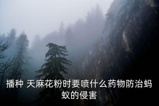 播種 天麻花粉時要噴什么藥物防治螞蟻的侵害