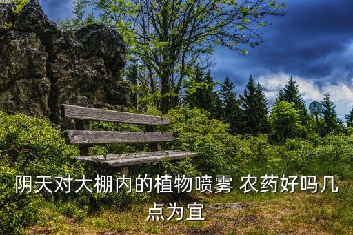 陰天對大棚內的植物噴霧 農藥好嗎幾點為宜