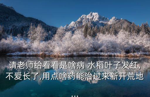 水稻葉尖紅用什么農藥,水稻農藥什么時間打效果最好