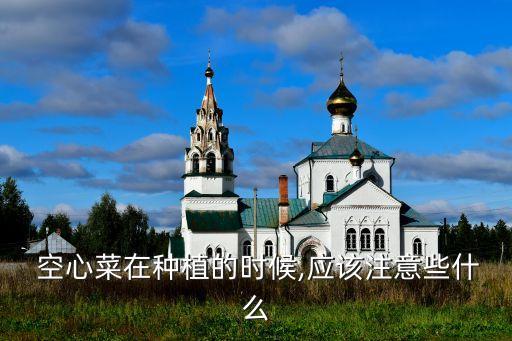空心菜噴灑了什么農(nóng)藥,桃樹噴灑什么農(nóng)藥