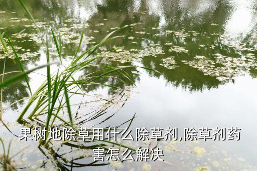  果樹地除草用什么除草劑,除草劑藥害怎么解決