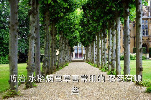 防治 水稻病蟲草害常用的 農藥有哪些