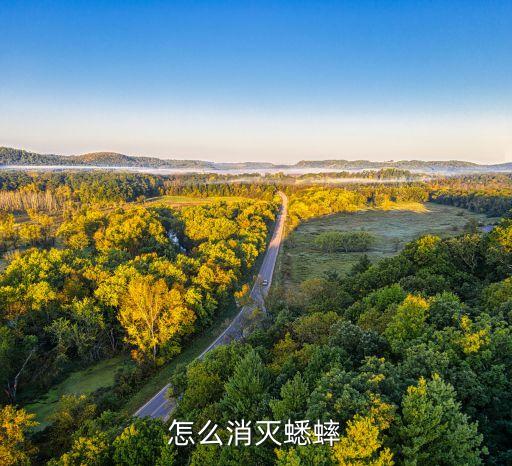 什么農藥可以毒蛐蛐,防治蛐蛐用什么農藥
