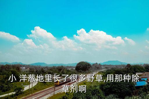 洋蔥噴施什么農(nóng)藥,噴施農(nóng)藥什么時(shí)間最好
