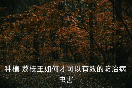 種植 荔枝王如何才可以有效的防治病蟲害
