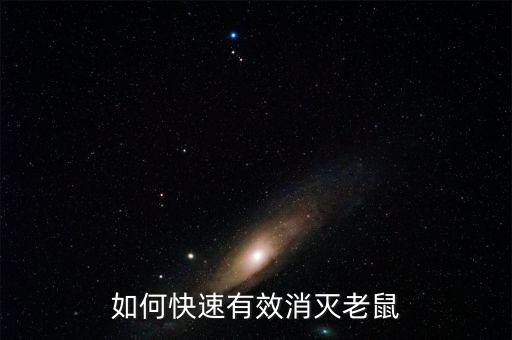 如何快速有效消滅老鼠