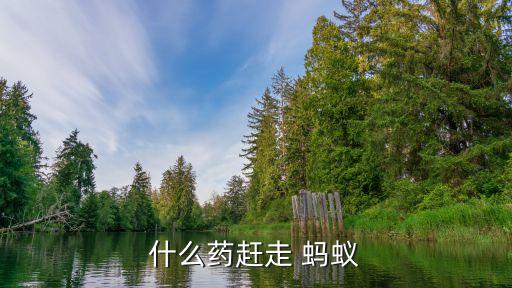 什么藥趕走 螞蟻