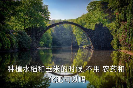 種植水稻和玉米的時候,不用 農藥和 化肥可以嗎