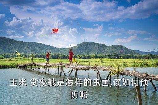 草地貪夜娥用什么農藥