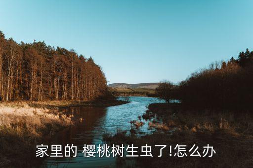 櫻桃用什么農藥防治蟲,櫻桃現在打什么農藥