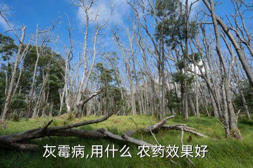農藥絡安成分是什么,玉米伴侶農藥成分是什么