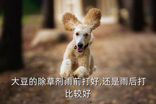 大豆什么時候能打農(nóng)藥,什么時候打農(nóng)藥效果最好