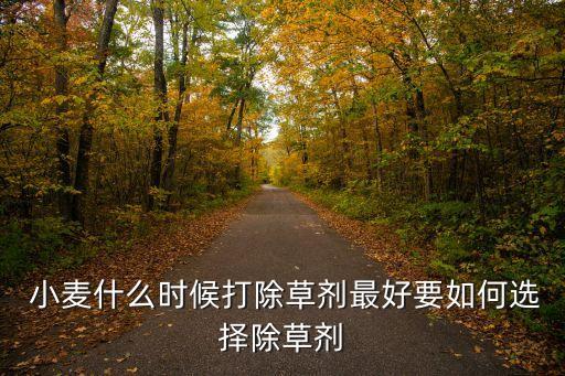  小麥什么時候打除草劑最好要如何選擇除草劑