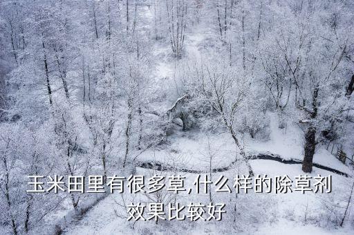  玉米田里有很多草,什么樣的除草劑效果比較好