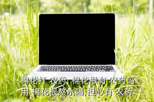  棉花打 農藥, 棉花根有 農藥嗎用 棉花根熬水喝,擔心有 農藥