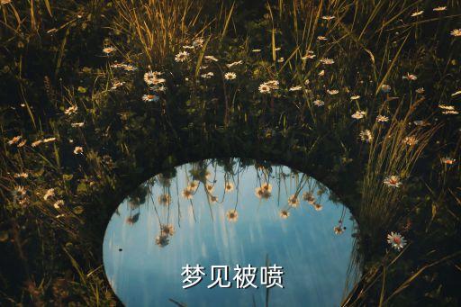  夢見被噴