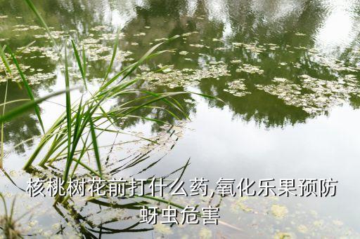 核桃樹秋季噴什么農藥,什么農藥能殺死核桃樹