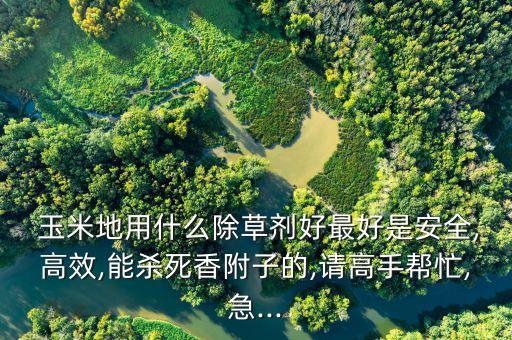  玉米地用什么除草劑好最好是安全,高效,能殺死香附子的,請高手幫忙,急...