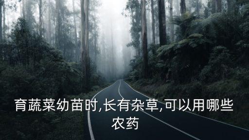 育蔬菜幼苗時,長有雜草,可以用哪些 農藥