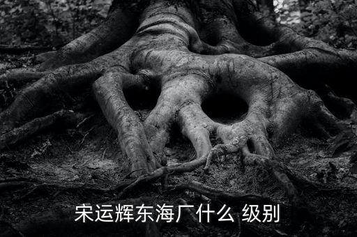 宋運輝東海廠什么 級別