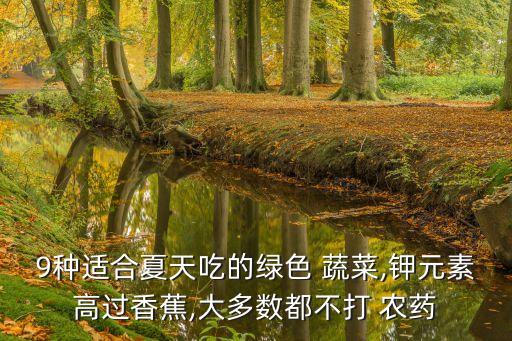 9種適合夏天吃的綠色 蔬菜,鉀元素高過香蕉,大多數都不打 農藥