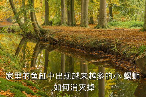 菜蟲用什么農藥殺比較好?,什么農藥殺螺螄蟲