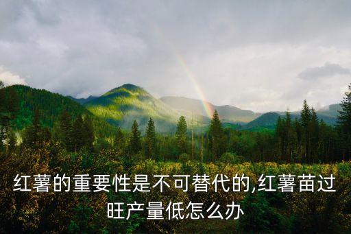 紅薯的重要性是不可替代的,紅薯苗過旺產量低怎么辦