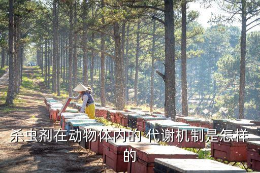 農(nóng)藥可以代謝出去嗎為什么,為什么喝水代謝不出去