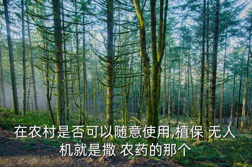在農村是否可以隨意使用,植保 無人機就是撒 農藥的那個