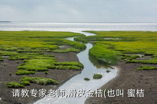 蜜桔清園噴什么農(nóng)藥