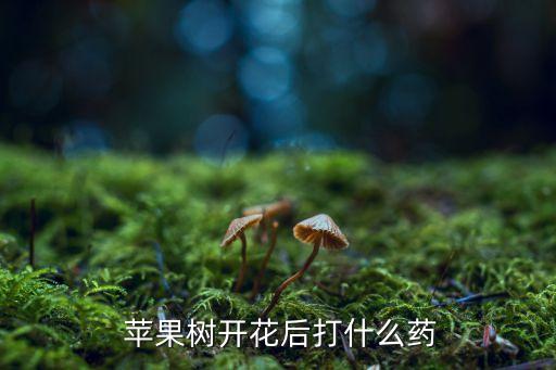 蘋果要打什么農(nóng)藥好使,防蘋果腐爛用什么農(nóng)藥