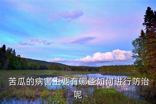 苦瓜掉花打什么農藥,苦瓜開什么顏色的花