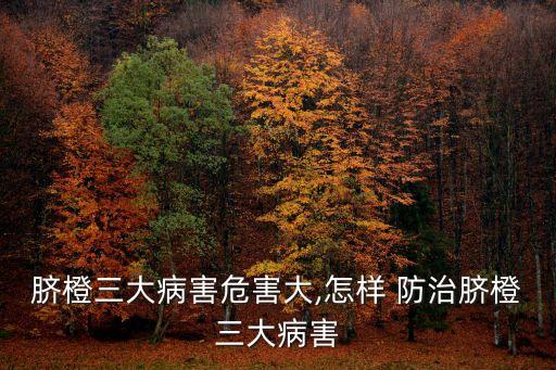 臍橙三大病害危害大,怎樣 防治臍橙三大病害