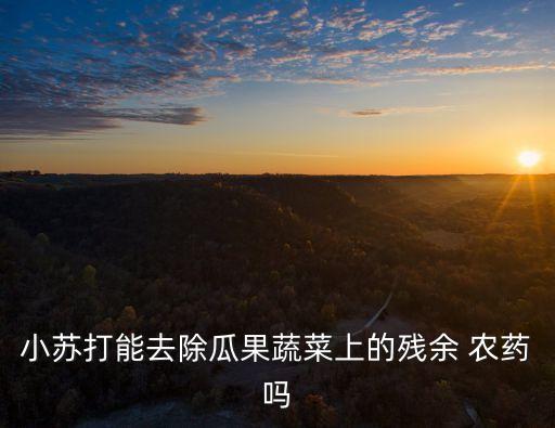 小蘇打能去除瓜果蔬菜上的殘余 農藥嗎