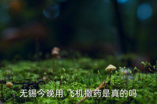 看見飛機撒農藥什么意思,灑農藥的飛機叫什么