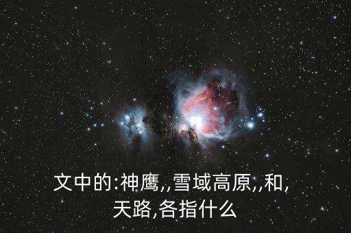 文中的:神鷹,,雪域高原,,和, 天路,各指什么