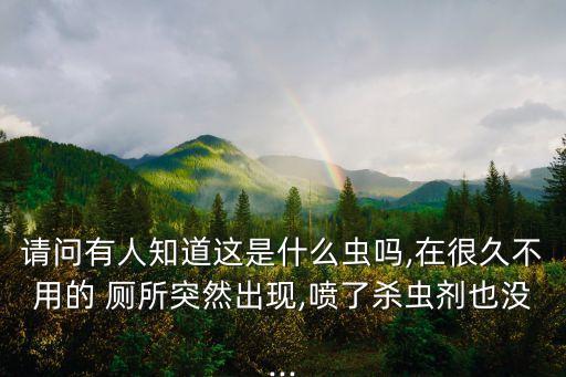請問有人知道這是什么蟲嗎,在很久不用的 廁所突然出現,噴了殺蟲劑也沒...