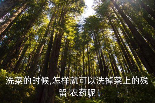 蔬菜上的農藥用什么浸泡,蔬菜在水中浸泡多久可以去除農藥