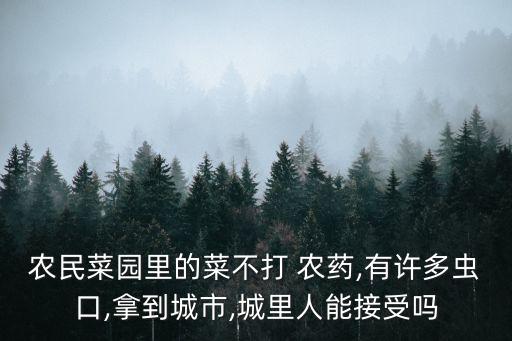 農民菜園里的菜不打 農藥,有許多蟲口,拿到城市,城里人能接受嗎